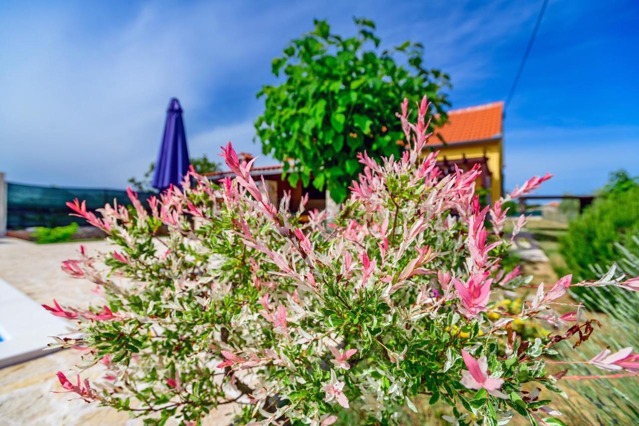 Sunny House Vila Smokovic Exterior foto