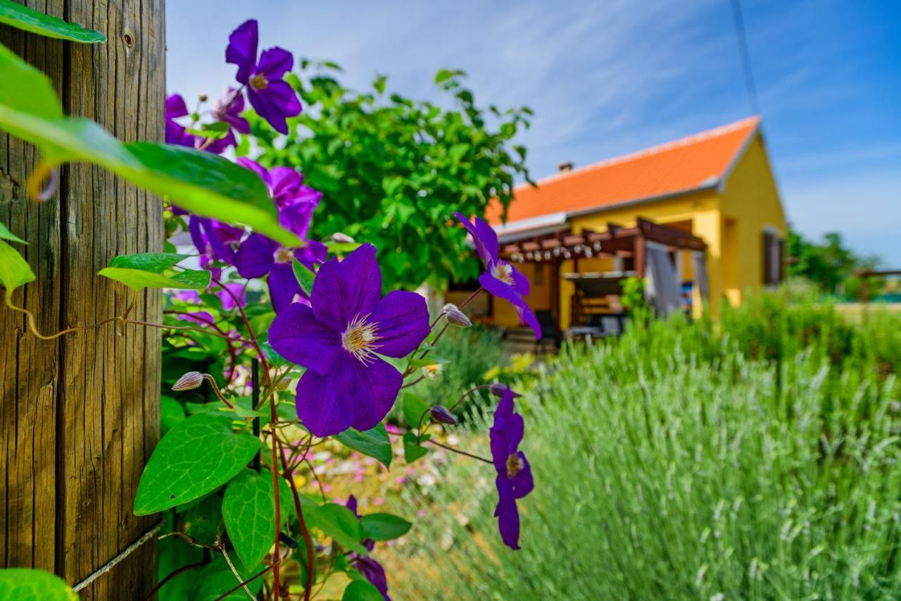 Sunny House Vila Smokovic Exterior foto